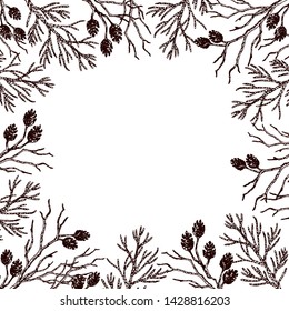 Square card with dry twigs, thuja branches and alder cones. Hand drawn vector illustration on white background.