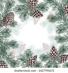 Square card with green pine branches and cones. Hand drawn vector illustration on white background.