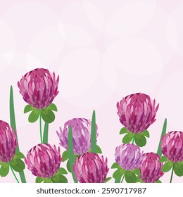 Square card template with clover flowers on the bottom, blank space on top for custom design