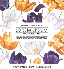Square card template, poster, banner, advertisement, social media post with realistic vector flowers. Yellow, spruce and purple tulips on a white background, layout with place for text for your design