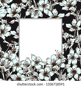 Square card template with sakura blossom. Spring cherry flowers. Vector on black background.