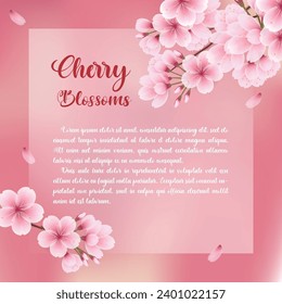 Square cherry blossom template, greeting card, background
