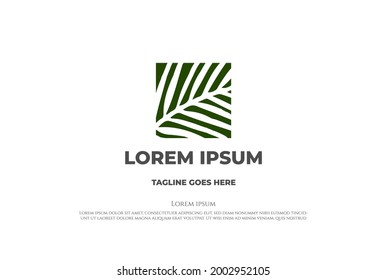 Square Coconut Palm Date Leaf Leaves Nature Garden Logo Design Vector