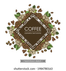 Square with coffee lettering with some coffee branches and beans around. Detailed hand-drawn sketch, vector botanical illustration.