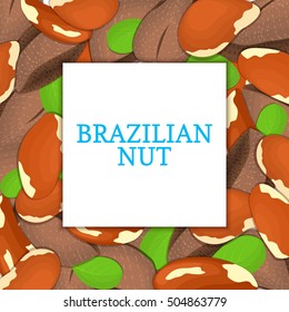 The square colored frame composed of brazilian nut. Vector card illustration. Nuts frame, brazilnut fruit in the shell, whole, shelled, leaves appetizing looking for packaging design of healthy food