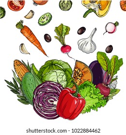 Square of colored vegetables.  Fresh food. Pumpkin, Cabbage, Blockley, kohlrabi, cauliflower, Brussels, beets, asparagus, corn, garlic, tomato line drawn on a white 