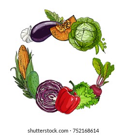 Square of colored vegetables.  Fresh food. Pumpkin, Cabbage, Blockley, kohlrabi, cauliflower, Brussels, beets, asparagus, corn, garlic, tomato line drawn on a white 