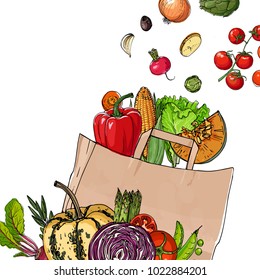 Square of colored vegetables  in a paper bag.  Fresh food. Pumpkin, Cabbage, Blockley, kohlrabi, cauliflower, Brussels, beets, asparagus, corn, garlic, tomato line drawn on a white 