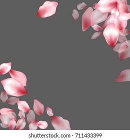Square corners border of flying petals isolated on grey invitation background, flower parts wedding decorative frame. Pink blossom elements, flower petals valentines day background border.
