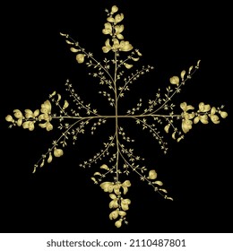 Square cross design with four blooming branches of Scotch Broom plant. Common broom. Cytisus scoparius. Sarothamnus scoparius. Golden glossy silhouette on black background.