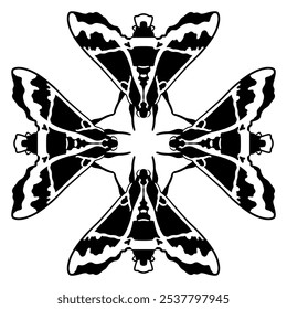 Square cross shape design with four Cizara sculpta moths. Beautiful Sphingida butterfly with spotted winged. Insect animal geometrical ornament. Black and white silhouette.