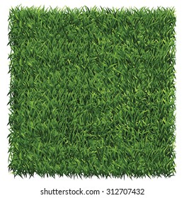 Square of dark green grass. A lawn dark green background vector.