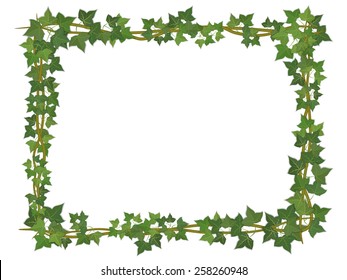 Square Decorative Frame Of Ivy Branches