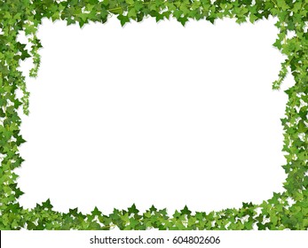 Square decorative frame of ivy branches,  isolated on white background.