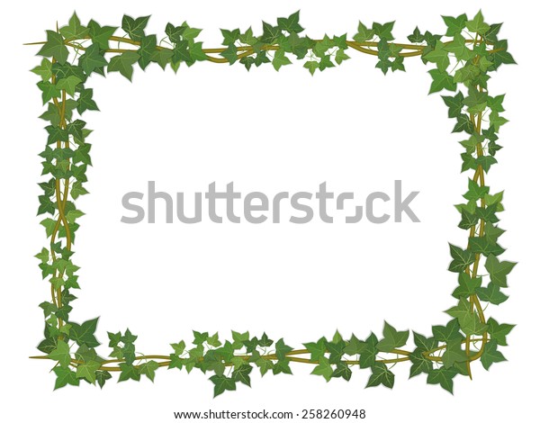 Square Decorative Frame Ivy Branches Stock Vector (Royalty Free) 258260948