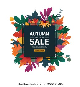 Square design banner with autumn sale logo. Discount card for fall season with white frame and herb. Promotion offer with autumnal  oak plant, maple leave and flowers decoration. Vector 