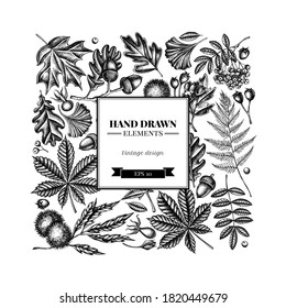 Square design with black and white fern, dog rose, rowan, ginkgo, maple, oak, horse chestnut, chestnut, hawthorn