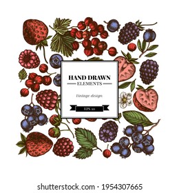 Diseño cuadrado con fresa de color, arándano azul, curry rojo, frambuesa, morera negra