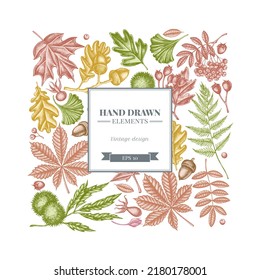 Square design with pastel fern, dog rose, rowan, ginkgo, maple, oak, horse chestnut, chestnut, hawthorn