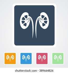 Square flat buttons icon of Kidneys. Eps-10.
