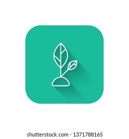 Square flat turquoise illustration with long shadow Planting seed sprout in ground. Symbol grow sapling.
