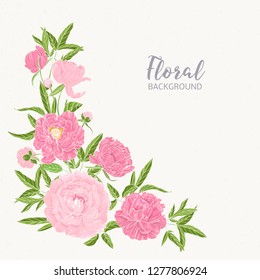 Square floral backdrop decorated by blooming pink peonies at left bottom corner. Gorgeous hand drawn flowers on light background. Colorful realistic botanical vector illustration in vintage style.