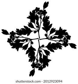 Square Floral Cross Design. Rhombus Shape Mandala With Blooming Branches Of Hawthorn Tree. Black Silhouette On White Background.