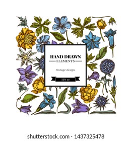 Square floral design with colored bellflower, edelweiss, globethistle, globeflower, meadow geranium, gentiana