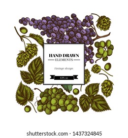Square floral design with colored grapes, hop