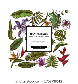 Square floral design with colored monstera, banana palm leaves, strelitzia, heliconia, tropical palm leaves, orchid