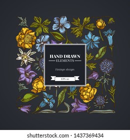 Square floral design on dark background with bellflower, edelweiss, globethistle, globeflower, meadow geranium, gentiana