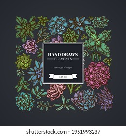 Square floral design on dark background with succulent echeveria, succulent echeveria, succulent