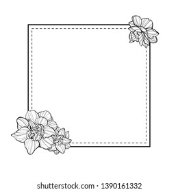 Square floral frame with hand drawn narcissus. Black & white template on white background. Artistic vector illustration.