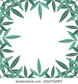 Square floral frame made of tropical plant branches, sharp leaves isolated on white background
