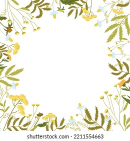 Square floral frame with space in the center. Wild field graceful herbs.