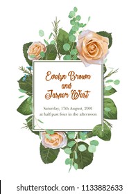 Square floral vector design frame. garden flower creamy Rose,  waxflower, green Eucalyptus tender greenery. Wedding card. All elements are isolated and editable.
