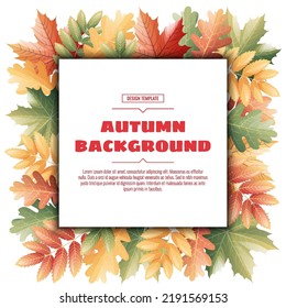 Square frame with autumn leaves of maple, rowan, oak. Autumn background with variegated foliage. Suitable for banners, cards, flyers, etc.