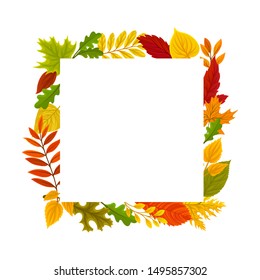 Square frame of autumn leaves. Vector illustration on a white background.