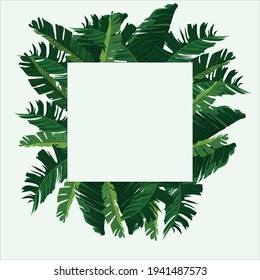 square frame with banana leaves - vector square frame with banana leaves high resolution