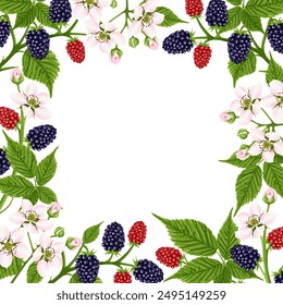 Square frame with blackberry flower and berry. Botanical invitation. A garden plant with pink flowers, green leaves and bright red and black berries. Vector illustration.