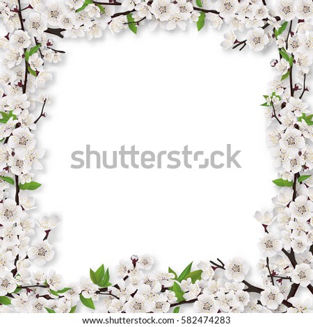 square frame blossom tree