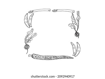 Square frame bordered with vegetables Rough touch like written with ink with white background