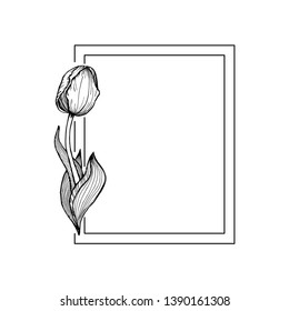 Square frame with built in hand drawn tulip on the left side. Beautiful vector floral decoration.