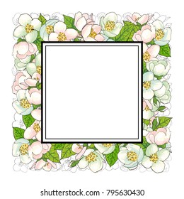 Square frame of cherry blossom flowers with empty space for text, sketch, hand drawn vector illustration isolated on white background. Hand-drawn vector cherry blossom flowers forming square frame