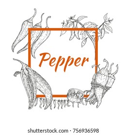 Square frame with chili peppers in retro hand drawn, sketches, engraved style. Design elements for banner, cover, label, package, promote. Isolated on white background. Modern vector illustration.