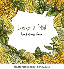 Square Frame with citrus slices and mint leaves, vector illustration, colored hand drawn sketch 