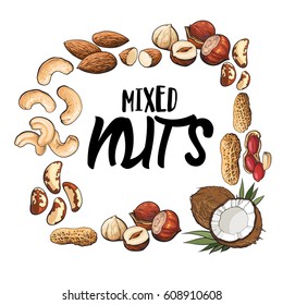 Square frame of coconut, cashew, peanut, hazelnut, almond nuts with place for text, sketch style vector illustration isolated on white background. Square frame of various nuts with place for text