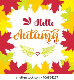 Square frame of colorful autumn maple leaves and hand written lettering "Hello Autumn". Vector illustration for posters, cards, invitations and more.