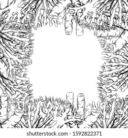 Square frame with contour sketch of marine coral and sponges and place for text. Sea life. Vector template for cards, banners, invitation and your creativity.