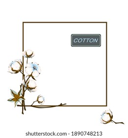 Square frame of the cotton branch. White fiber bolls and leaf on the stem. Fluffy flower. Vector illustration, copy space for design.